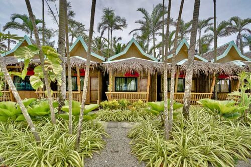 Deluxe Nipa Hut